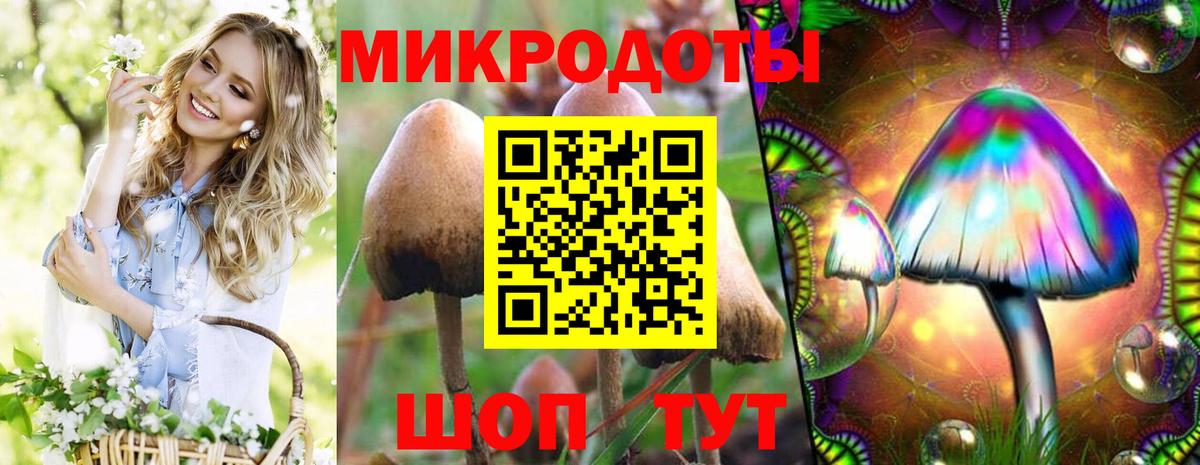 Псилоцибиновые грибы GOLDEN TEACHER Новокубанск